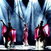 Beijing Dance Academy Presents THE BUTTERFLY LOVERS 2/12-14/2010 At The Ahmanson…