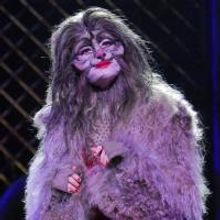 Photo Flash: Teatro Sistina's CATS