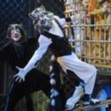 CATS Returns To RomeApril 14-25