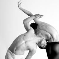Complexions Contemporary Ballet Comes To The Phillips Center 1/13/2010