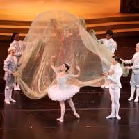 The Joffrey Ballet Presents CINDERELLA, Opens 1/28/2010