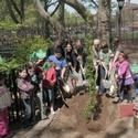Sternberg Park Celebrates Arbor Day