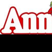 Dundalk Community Theatre Announces ANNIE Auditions