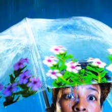 ATC, Drum Theatre Plymouth and Young Vic Present EURYDICE In Its European Premiere
