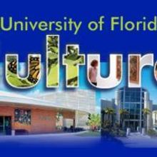 Harn Museum and Phillips Center Host Friday Night Sights 11/6