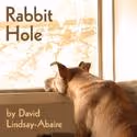 Silver Spring Stage Presents RABBIT HOLE 4/16-5/9