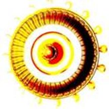 3rd Annual Spring Arts Fling Celebrates Young Audiences 5/25