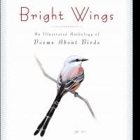 AMNH Announces Bright Wings: An Illustrated Anthology of Poems About Birds
