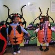 Staten Island Children's Museum Invites You To Go Buggy & More 4/9-11