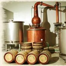 The Distillery Presents FLEE THIS PLACE 10/8-18 At Meymandi Theatre