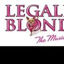 LEGALLY BLONDE THE MUSICAL To Debut at NJPAC 6/1-6