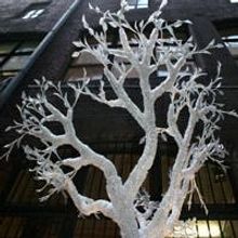 Fortyfive Downstairs Theatre Presents Gothic Sonica Concerts: Aliennation And 1834 