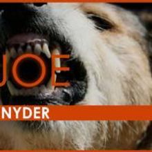 Profiles Theatre Continues Its  21st Season With KILLER JOE 1/8/2010