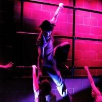 Treehouse Shakers Hosts Two Family And Young Audience Shows This May