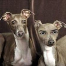 Charlotte Street Foundation's Urban Culture Project Presents MYTHMAKERS, Opens 11/20