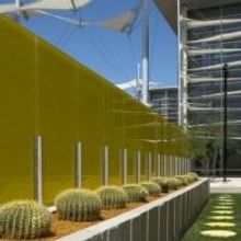 Captain Louie Soars Onto the Stage at Mesa Arts Center 1/29-2/7/2010