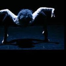 'New York Butoh-Kan Masters' Plays Dance New Amsterdam 11/12-15