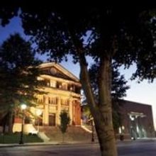 The Sheldon Announces Three New Shows Including Young Elvis And A Blues Band