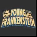 Roger Bart Stars In Mel Brooks' YOUNG FRANKENSTEIN At The Buell Center 6/15-27