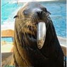 WCS New York Aquarium Announces Their Summer Camp, Kicks Off 7/5