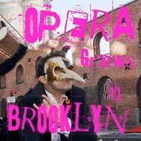 Galapagos in Brooklyn Presents OPERA GROWS IN BROOKLYN 12/12