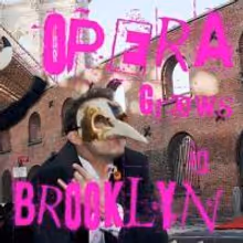 Galapagos in Brooklyn Presents OPERA GROWS IN BROOKLYN 12/12