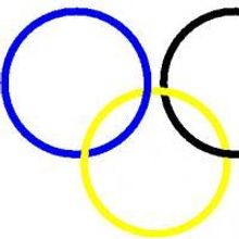 2010 Olympic Torchbearer Alison Hestrin Lerner, Gold Medalist Lisa Leslie and Other…