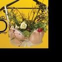 Augesen, Felciano & More Set For ACT's ROUND AND ROUND THE GARDEN, Opens 5/5