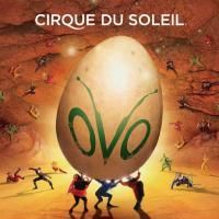 Cirque du Soleil's OVO Adds Performances For San Jose Engagement, Tix Avaliable 12/21