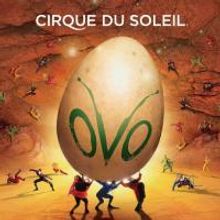 Cirque du Soleil's OVO Adds Performances For San Jose Engagement, Tix Avaliable 12/21
