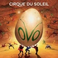 CIRQUE DU SOLEIL OVO Now Playing Through March 21