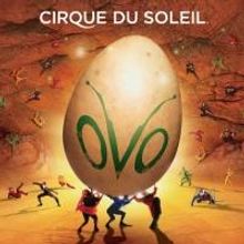 CIRQUE DU SOLEIL OVO Now Playing Through March 21