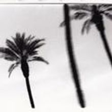 TRYING At The Bushwick Star To Feature Christopherson, Hip-Flores, and Helan 4/15-17