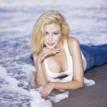 THE D-CUP DIATRIBES Makes Its World Premiere At Gorilla Tango Theatre 11/27