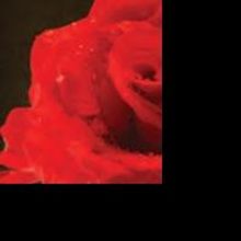 New Jersey Symphony Orchestra Symphony Offers Sweetheart Packages