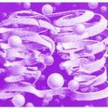 Stolen Chair Theatre Presents Quantum Poetics: A Science Experiment for the Stage