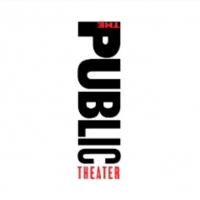 The Public Announces '09 Emerging Writers Evening of Excerpts and Spotlight Series