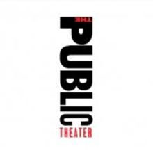 The Public Announces '09 Emerging Writers Evening of Excerpts and Spotlight Series