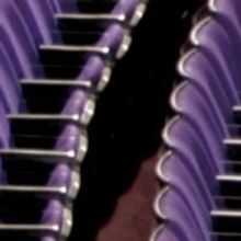 Untamed Illusions Starring the Fercos Brothers Hit Planet Hollywood Dec. 22 - Jan. 3