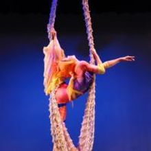 The New Shanghai Circus Comes To Van Wezel Performing Arts Hall 11/15