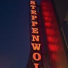 Steppenwolf Theatre Company Presents Their 2009-2010 MaTEENee Series