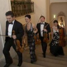 Stradivari Quartet Comes To University Auditorium In Gainsville 11/8