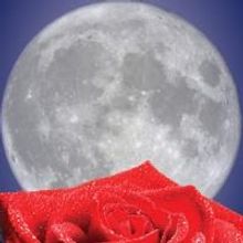 Charlie Newell Directs THE ILLUSION At The Court Theater