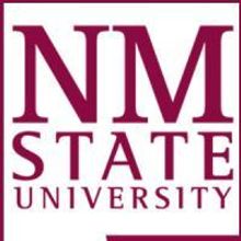 American Southwest Theatre Company Announces Auditions For 2010 Productions 