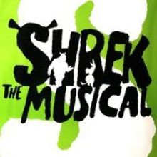 'We Plan to Monetize Shrek The Musical in Any Number of Ways' Says DreamWorks