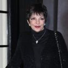Liza Minnelli To Sing At San Antonio's Majestic Theatre 7/18
