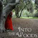 Terrace Plaza Playhouse Presents INTO THE WOODS 4/16-5/29