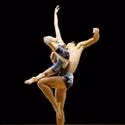 ZviDance Presents ZOOM 4/7-10
