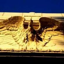 Strawdog Theater Announces New Directors and Ensemble Members