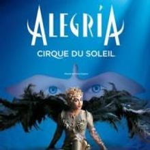 Cirque du Soleil's Alegria Arena Tour Swings Into Newark This Summer 7/18-19